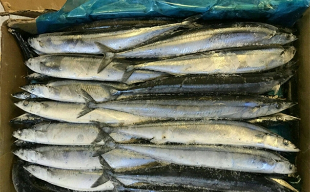 进口冷冻海鲜清关代理