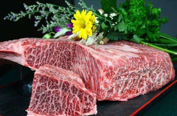 冷冻牛肉进口报关_副本.jpg