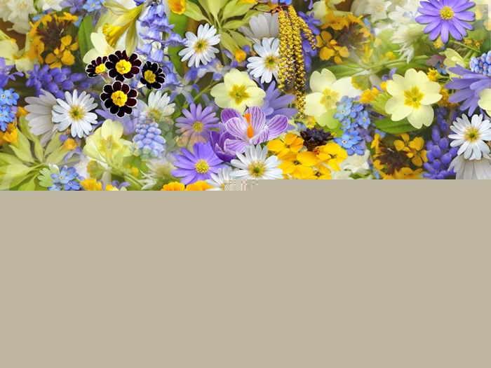 公司一般贸易进口鲜花报关.jpg