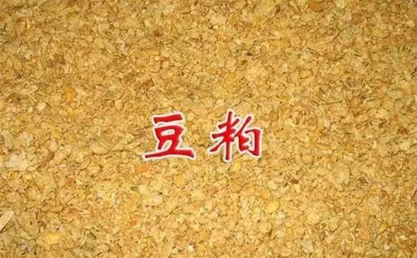 豆粕进口清关