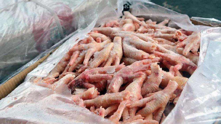 深圳冷冻鸡爪进口报关