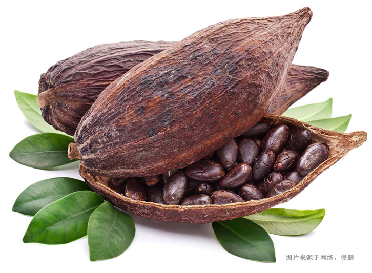 厄瓜多尔可可豆进口报关