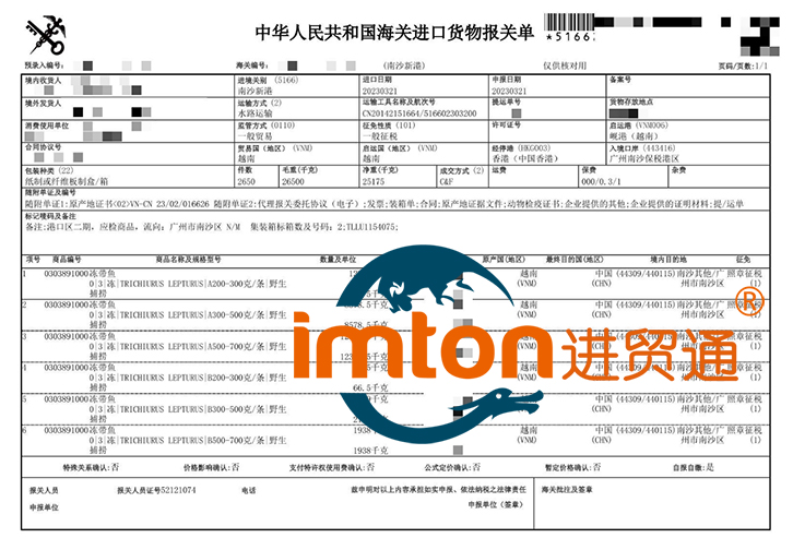 进口越南冷冻带鱼报关资料