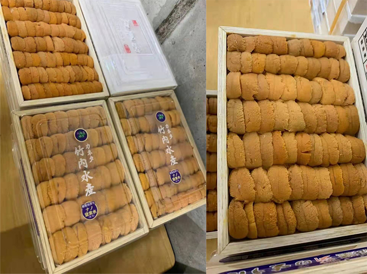 海胆进口清关