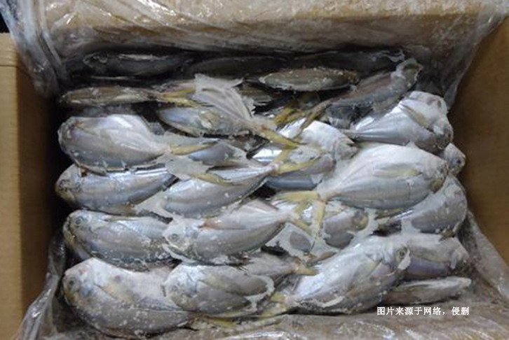 广州进口厄瓜多尔白鲳鱼报关资料