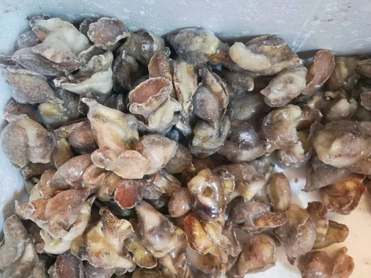 上海进口螺肉报关公司