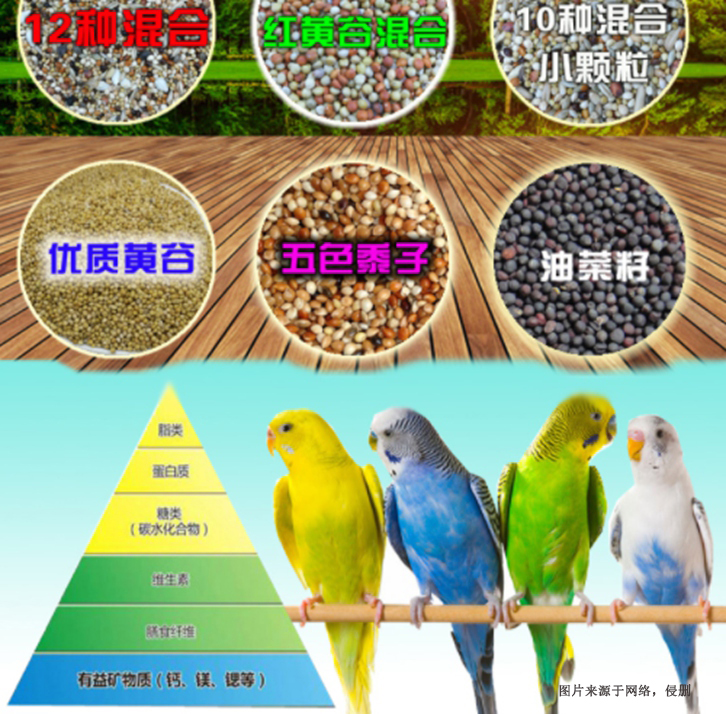 广州进口加拿大宠物饲料清关流程