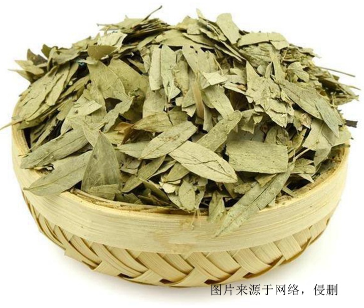 印度番泻叶进口报关资料