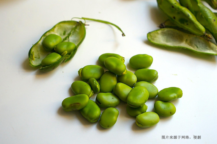 新西兰蚕豆进口报关费用