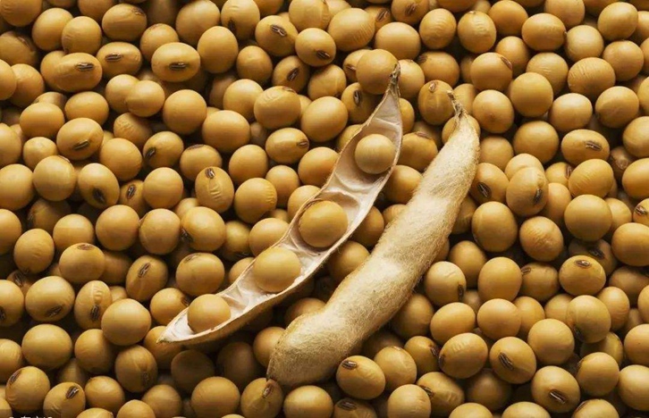 大豆进口报关报检流程_一般贸易进口大豆-高效通关