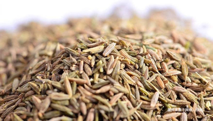 埃及枯茗子孜然进口报关资料