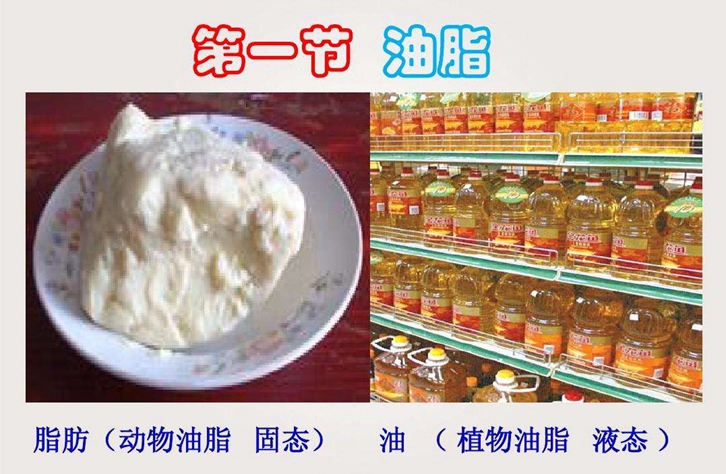 动物油脂进口报关