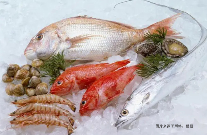 鱼虾蟹海鲜进口报关流程