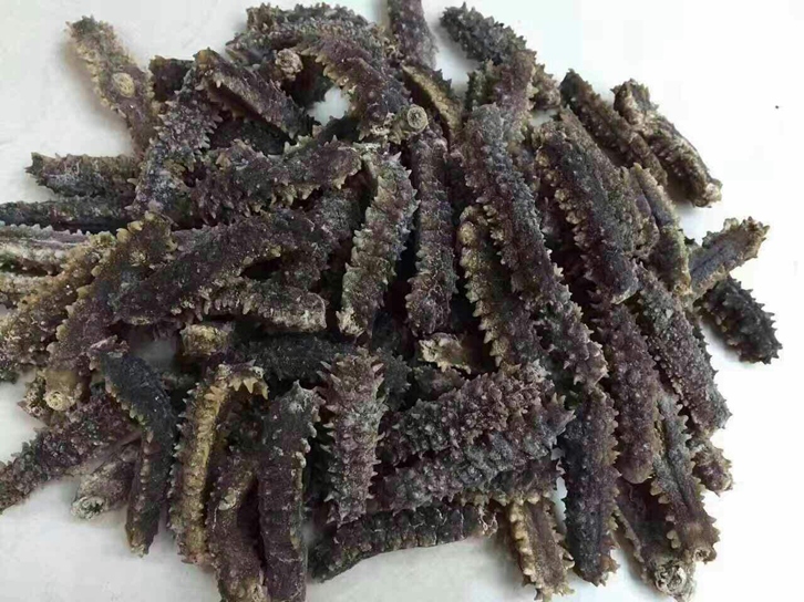 印尼海参进口清关公司