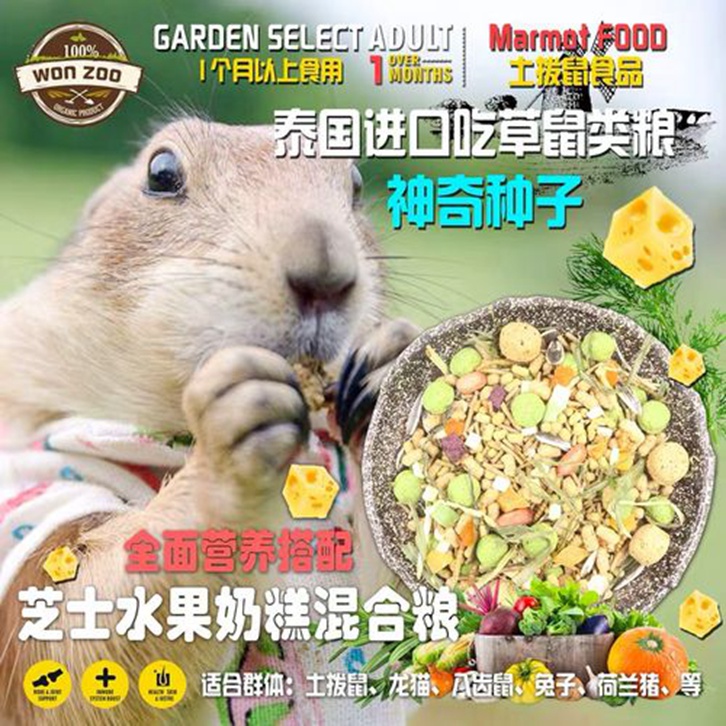 动物饲料进口报关流程