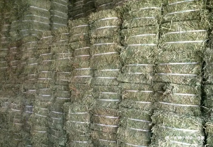 进口苏丹苜蓿草报关资料