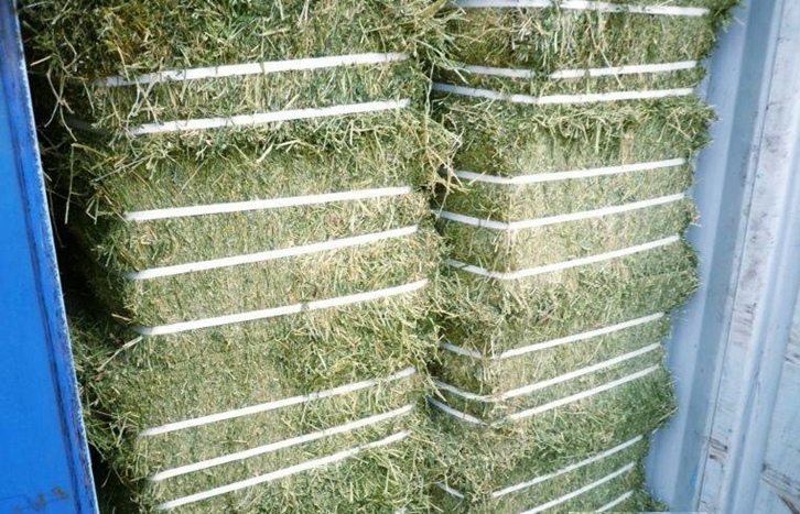 加拿大梯牧草进口报关流程