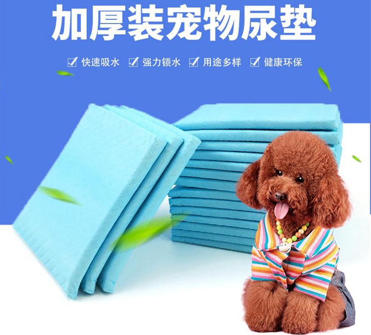 宠物用品报关公司
