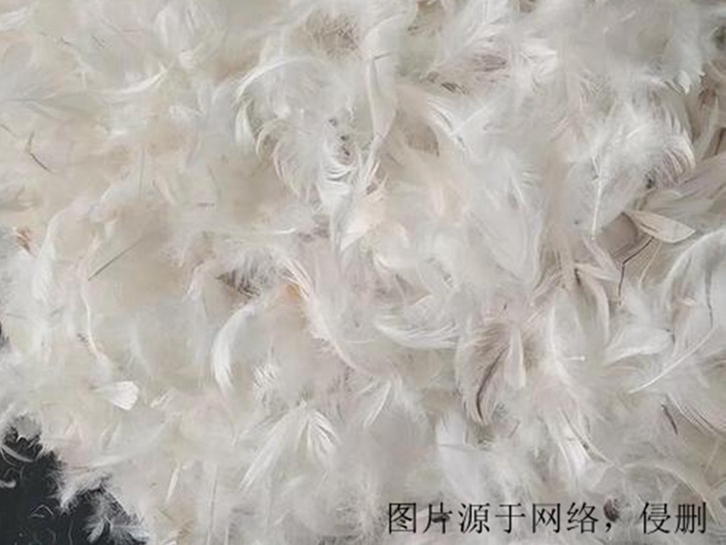 越南鸭毛进口报关资料