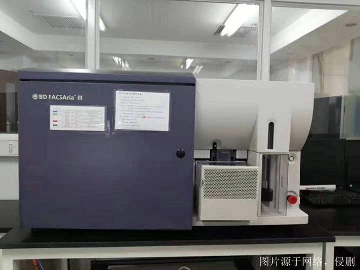 深圳进口旧设备报关流程